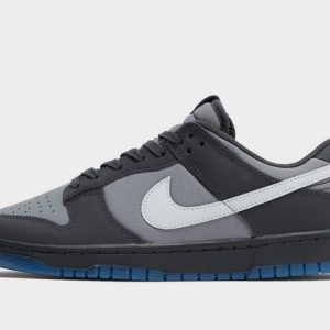 nike dunk low homme